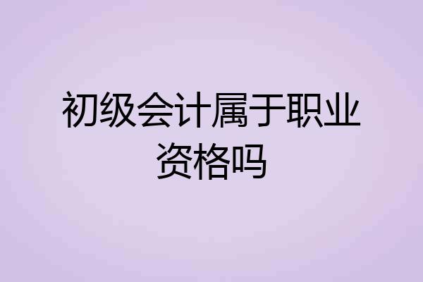 初级会计属于职业资格吗