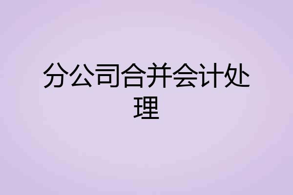 分公司合并会计处理