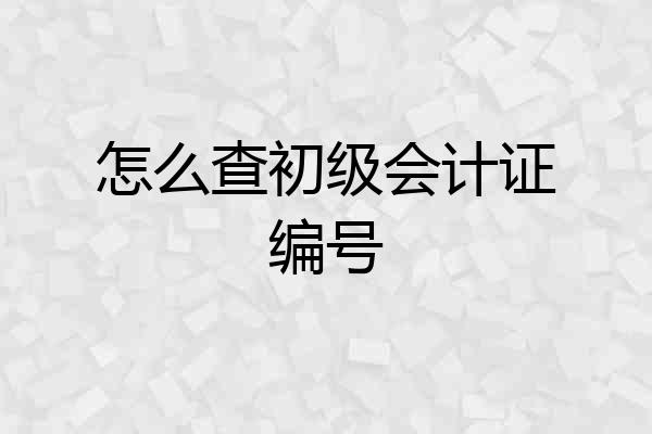 怎么查初级会计证编号