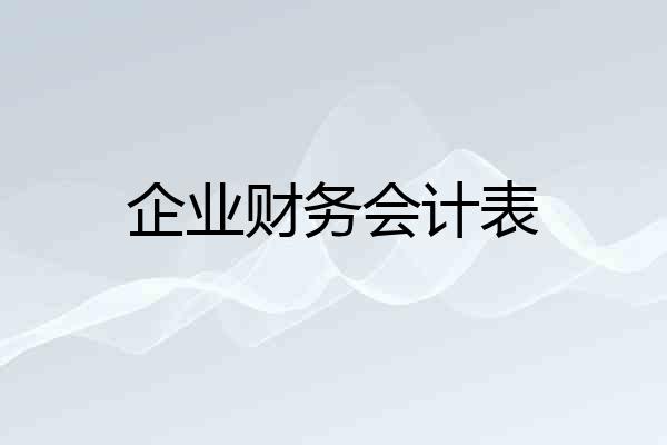 企业财务会计表