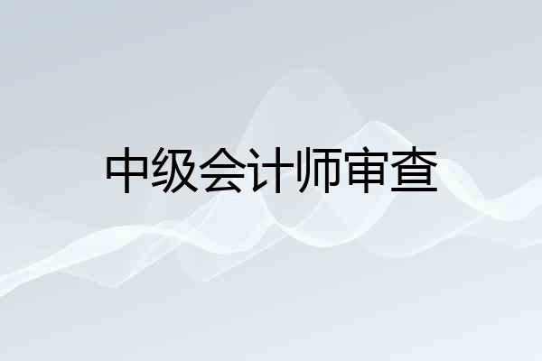 中级会计师审查