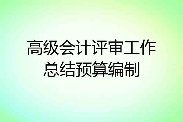 高级会计评审工作总结预算编制