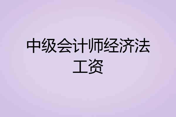 中级会计师经济法工资