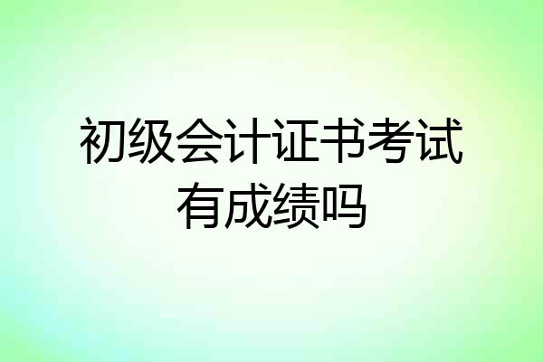 初级会计证书考试有成绩吗