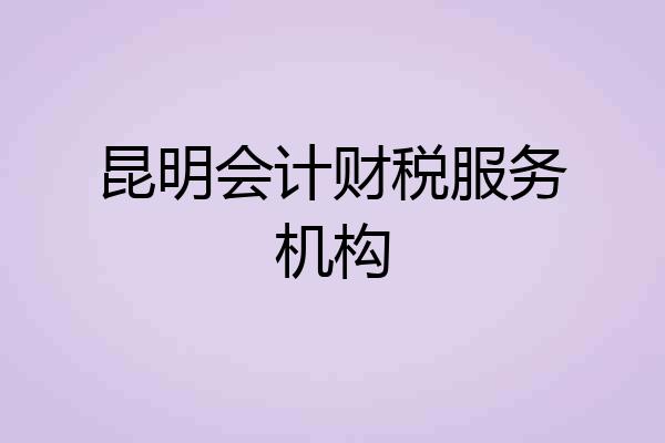 昆明会计财税服务机构
