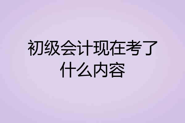 初级会计现在考了什么内容