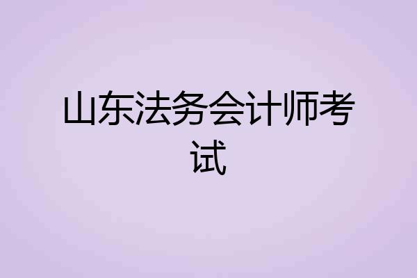 山东法务会计师考试