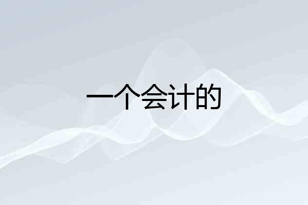 一个会计的