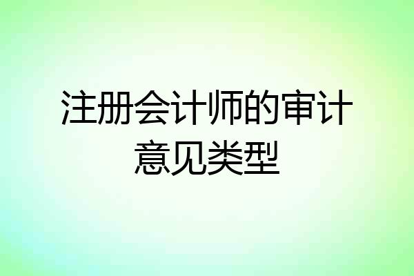注册会计师的审计意见类型