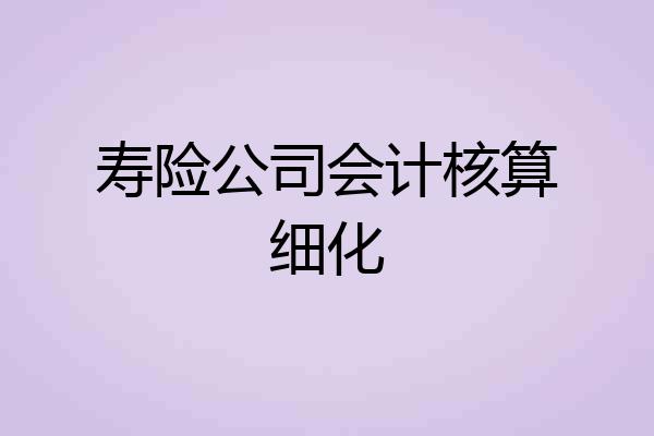寿险公司会计核算细化