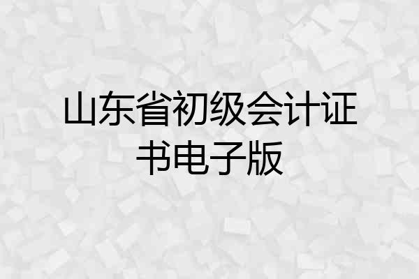 山东省初级会计证书电子版