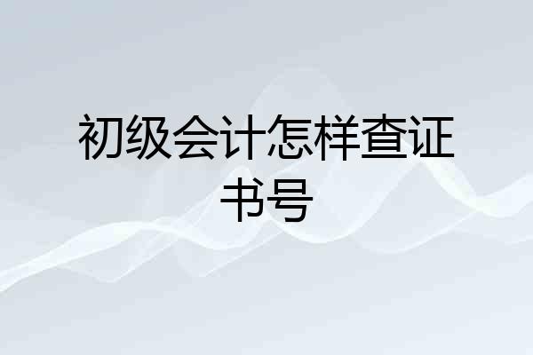 初级会计怎样查证书号