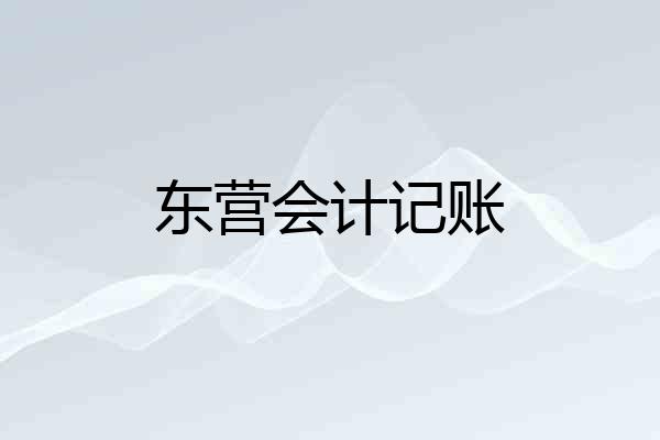 东营会计记账