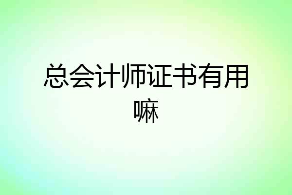 总会计师证书有用嘛