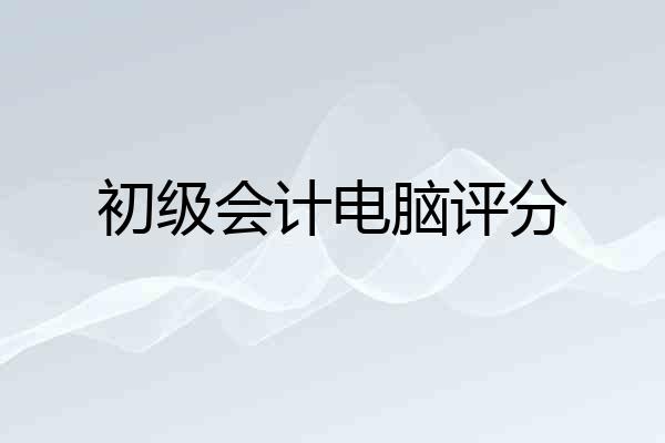 初级会计电脑评分