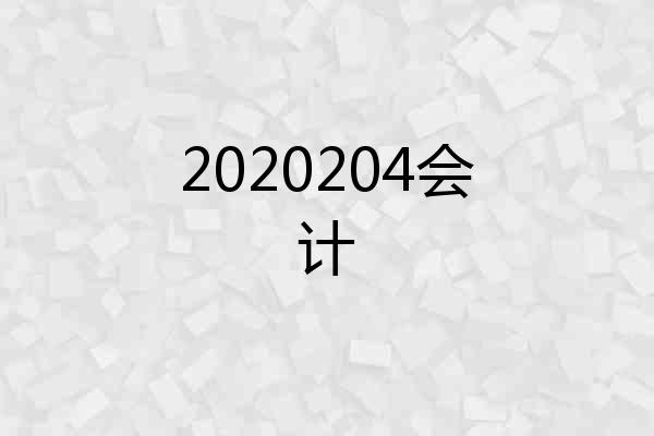 2020204会计