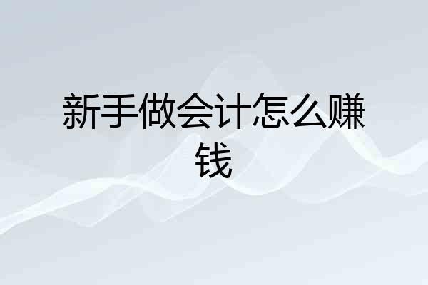 新手做会计怎么赚钱