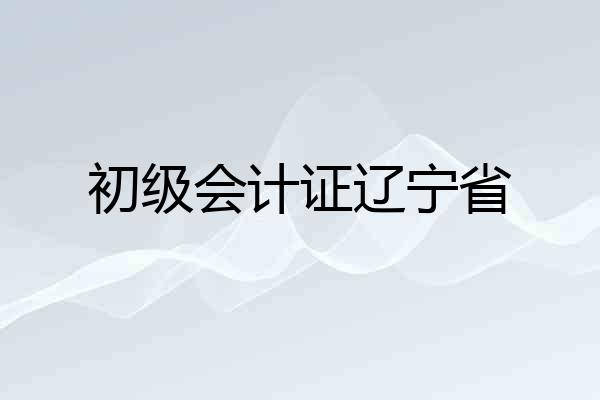 初级会计证辽宁省