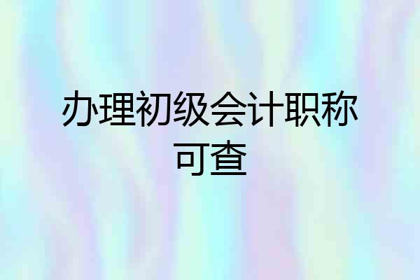 办理初级会计职称可查