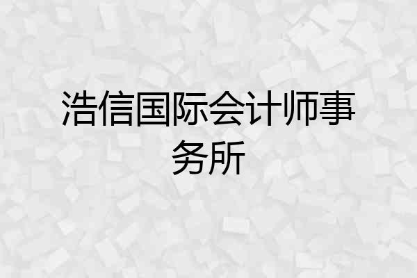 浩信国际会计师事务所