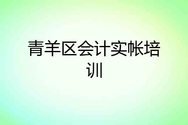 青羊区会计实帐培训