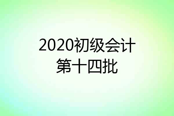 2020初级会计第十四批