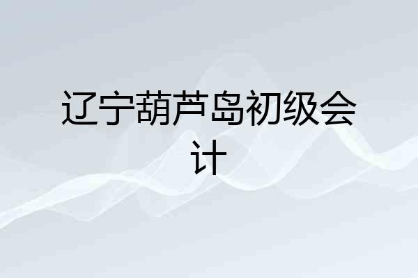 辽宁葫芦岛初级会计