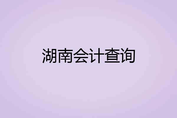 湖南会计查询
