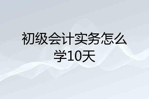 初级会计实务怎么学10天