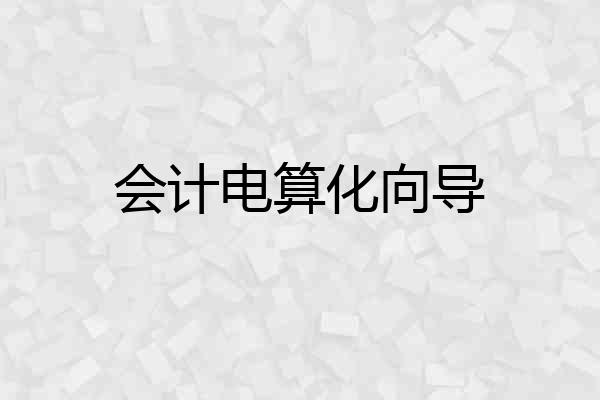 会计电算化向导