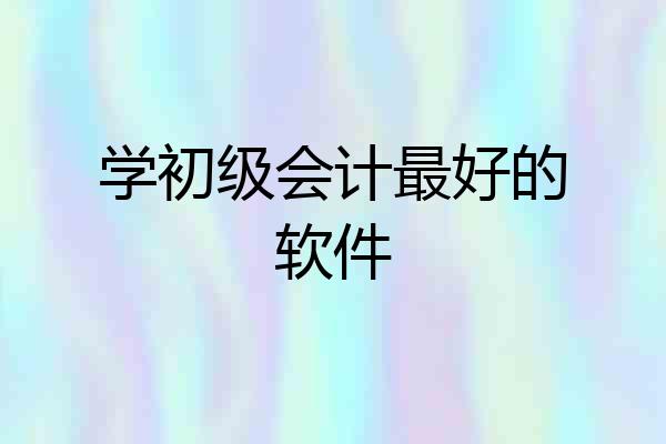 学初级会计最好的软件