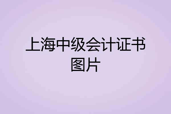 上海中级会计证书图片