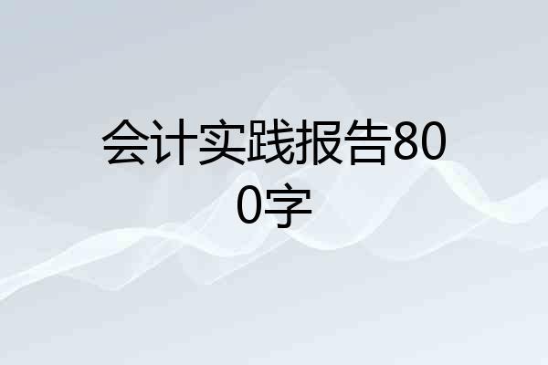 会计实践报告800字