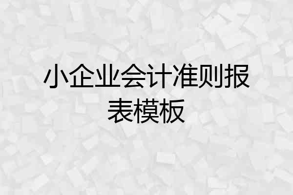 小企业会计准则报表模板