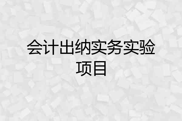 会计出纳实务实验项目