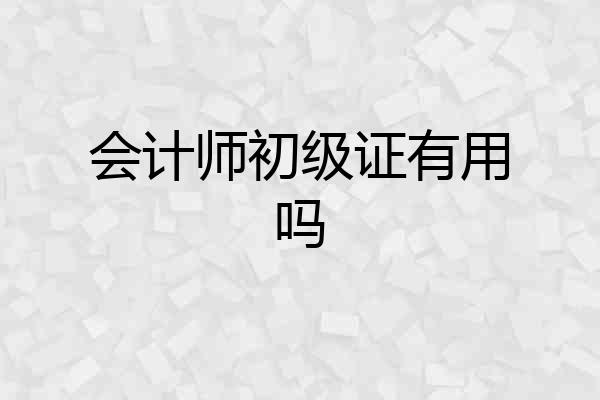 会计师初级证有用吗