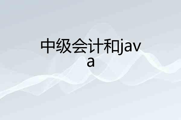 中级会计和java