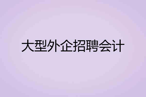 大型外企招聘会计