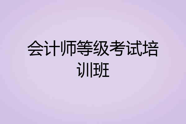 会计师等级考试培训班