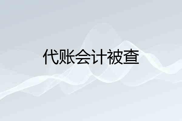 代账会计被查