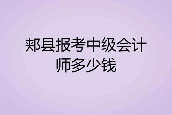 郏县报考中级会计师多少钱