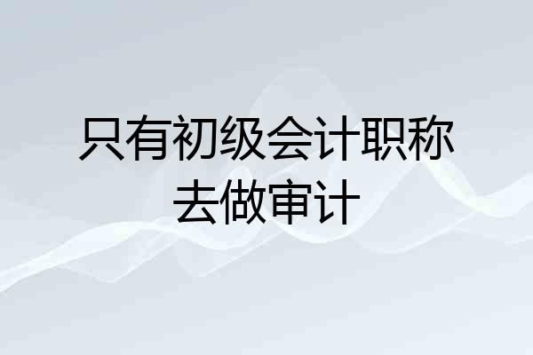 只有初级会计职称去做审计