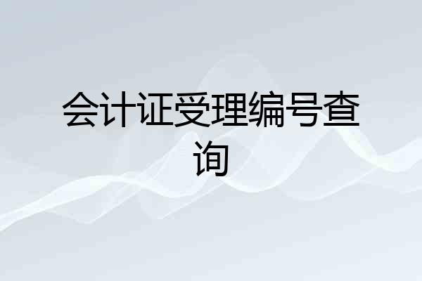 会计证受理编号查询