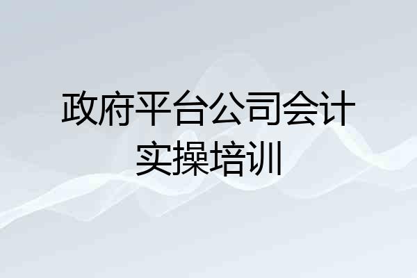 政府平台公司会计实操培训
