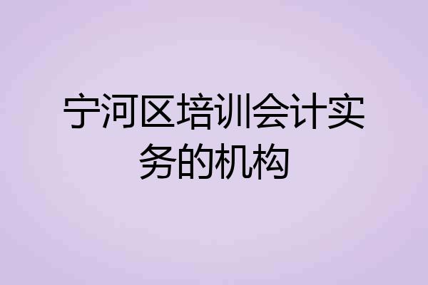 宁河区培训会计实务的机构