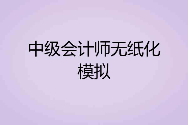 中级会计师无纸化模拟
