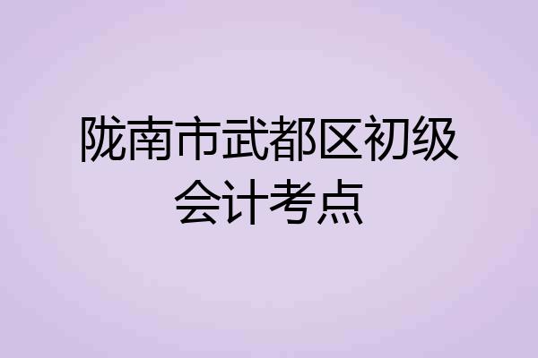 陇南市武都区初级会计考点