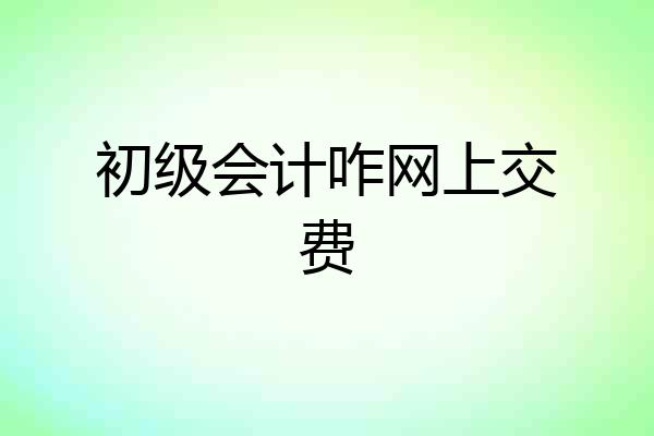 初级会计咋网上交费