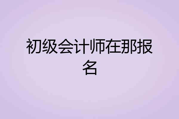 初级会计师在那报名