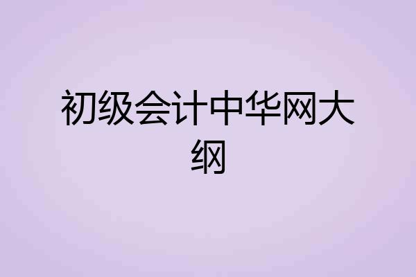 初级会计中华网大纲